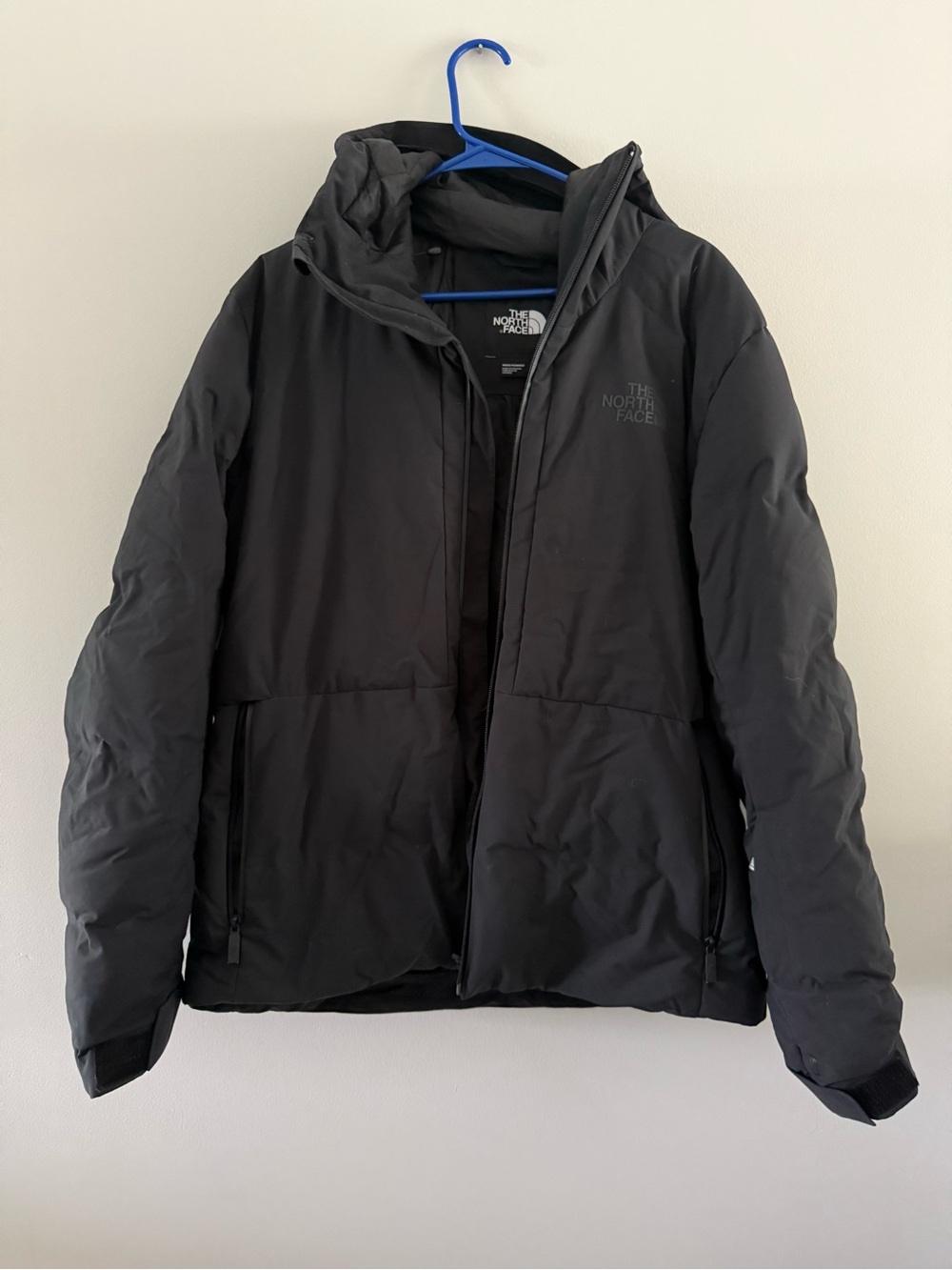The North Face Men's Black Hooded Puffer Jacket